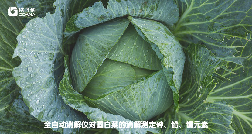 全自動(dòng)消解儀對圓白菜的消解測定砷、鉛、鎘元素